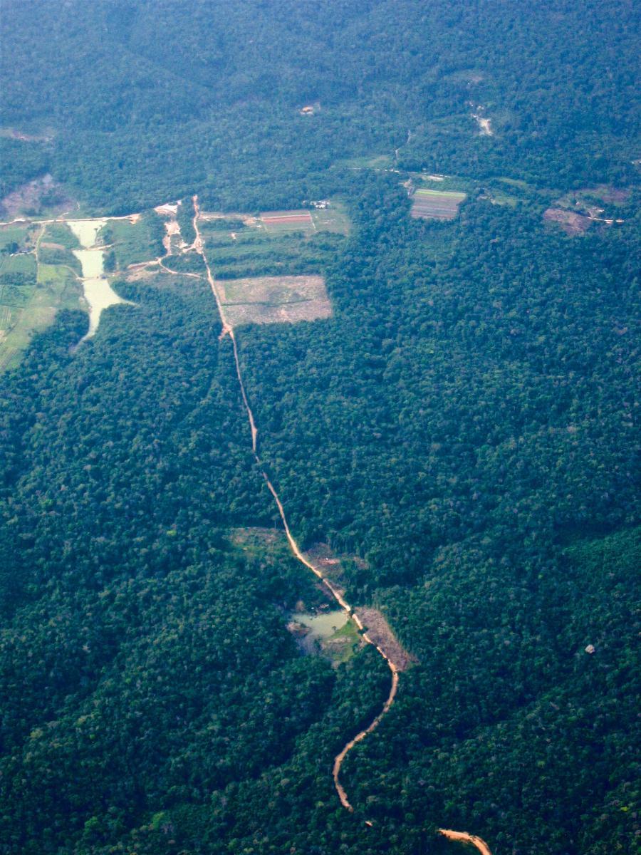 Aerial View of a road through forest and clearings